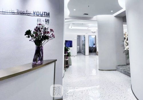 沈陽小樹整形醫(yī)院電話分