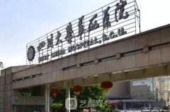 成都醫(yī)美醫(yī)院排名前十：