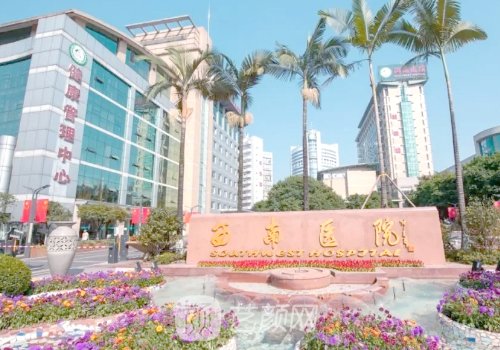 西南醫(yī)院美容專家排名公